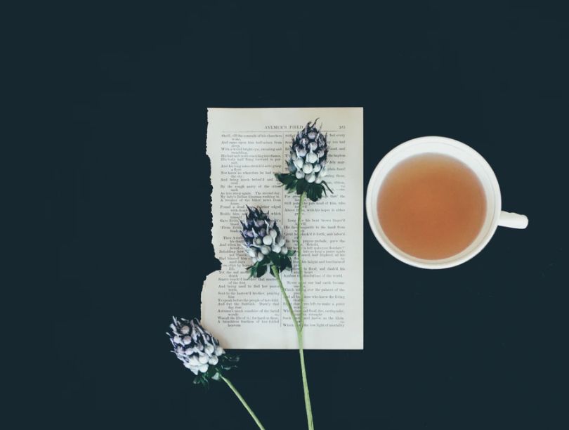 10 LỢI ÍCH BẤT NGỜ CỦA TRÀ OLONG