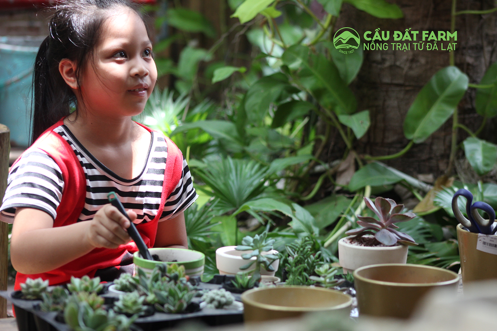 Ngày tớ trồng cây và bài học thiên nhiên từ Cầu Đất Farm