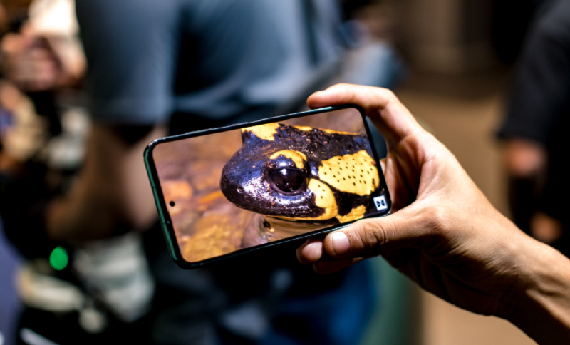 Samsung Galaxy S23 Plus - Phân Phối Chính Hãng