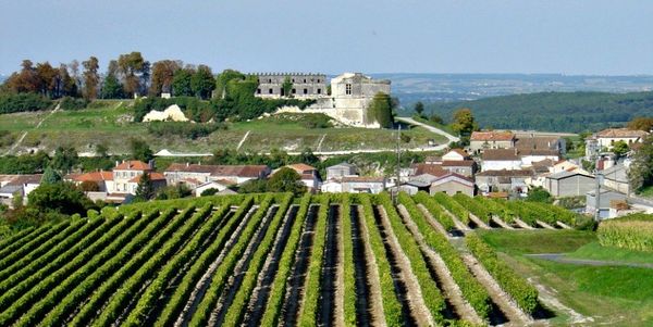 bordeaux_c_c3_a1nh-_c4_91_e1_bb_93ng-nho_grande.jpg