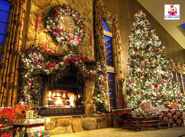 Shop bán cây thông Noel giao tận nơi ở TPHCM