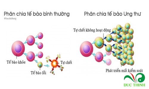 Nhung cong dung cua ban chi lien