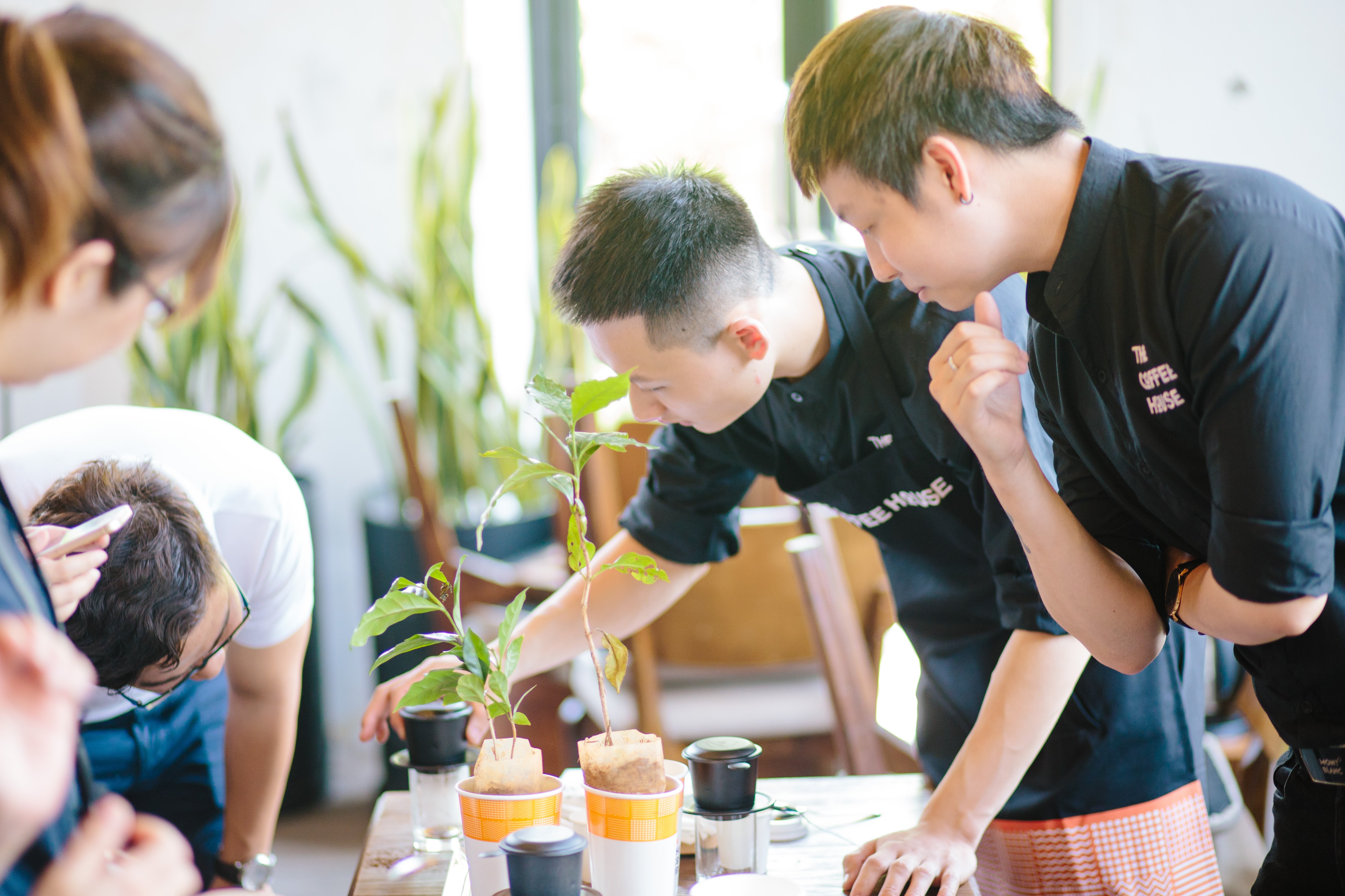 Hành trình nuôi dưỡng tình yêu trong “Ngôi nhà Cà phê”