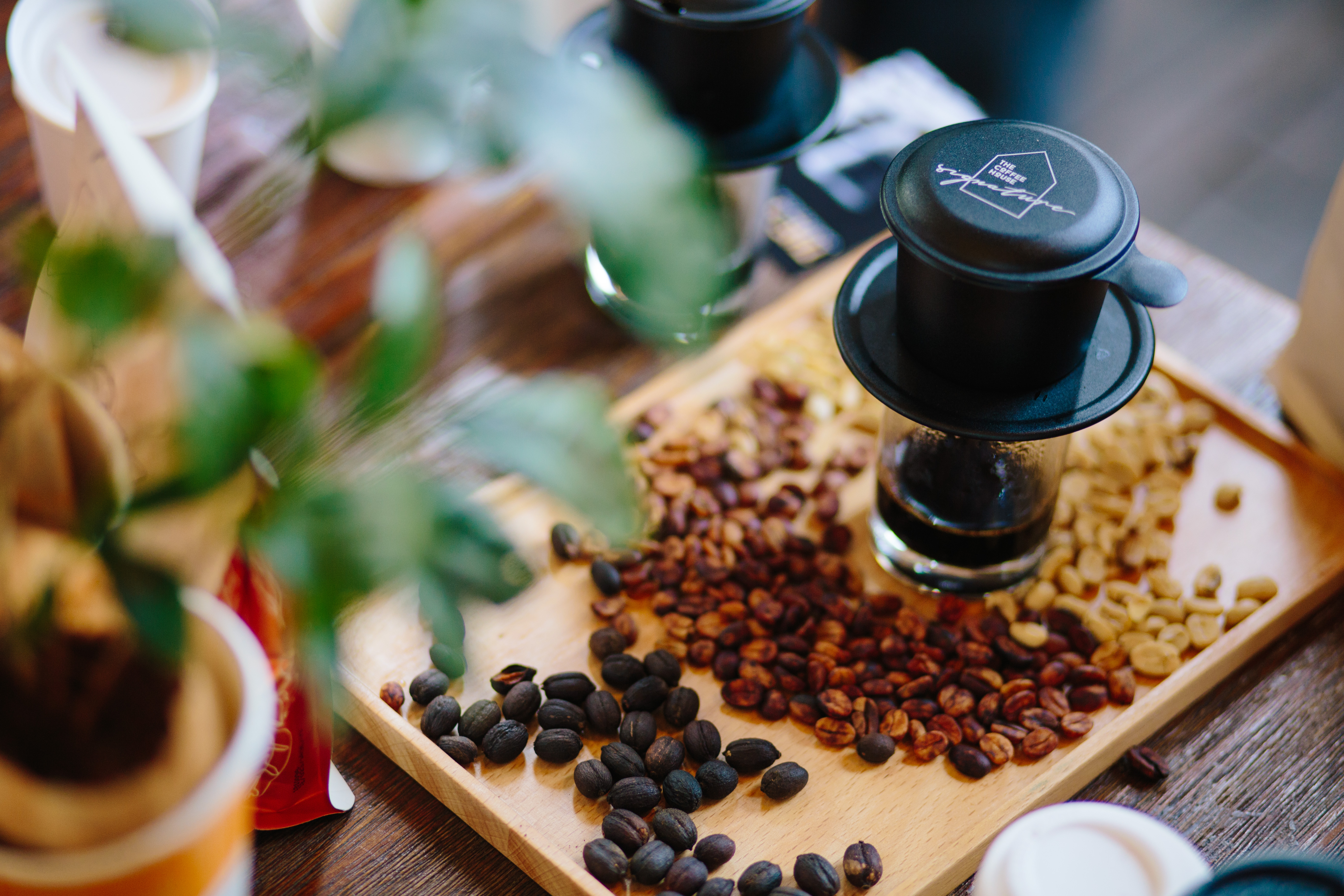 NGHỆ THUẬT THƯỞNG THỨC CÀ PHÊ PHIN