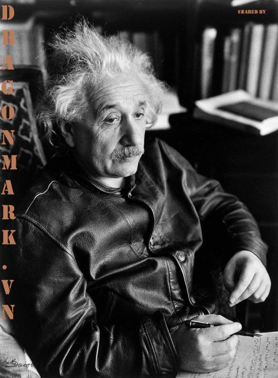 albert-einstein-leather-jacket 3 albert-einstein-leather-jacket 3