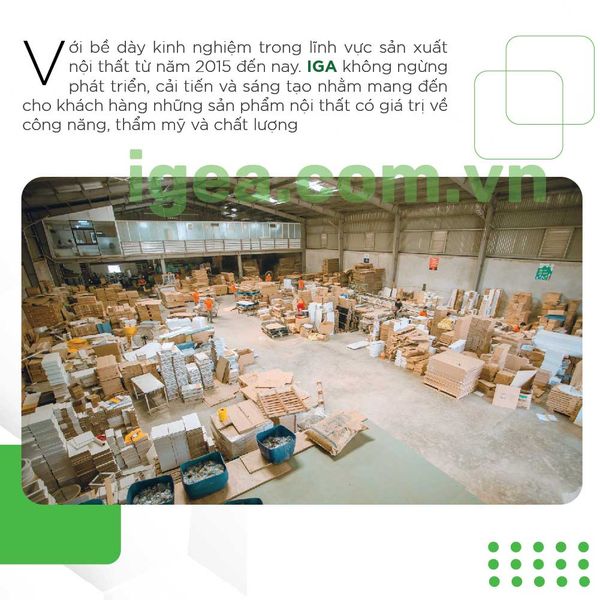 hồ sơ năng lực iga