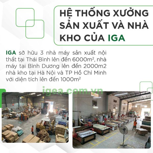 hồ sơ năng lực iga