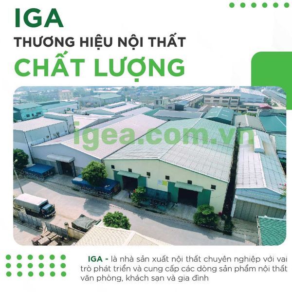 hồ sơ năng lực iga