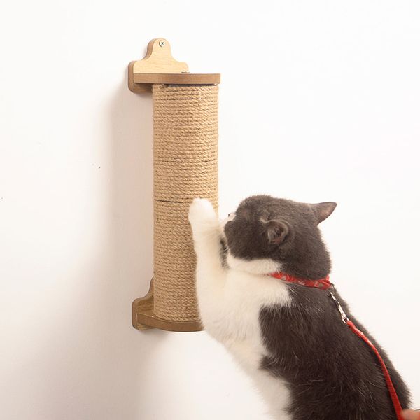 trụ cào móng cho mèo
