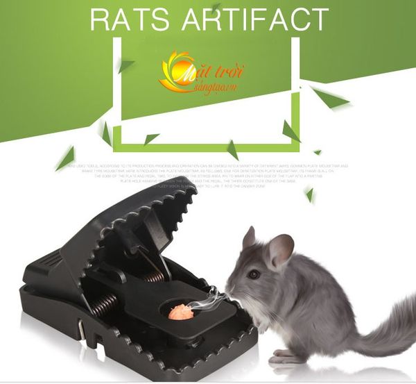 bẫy kẹp chuột, sử dụng bẫy chuột hình chữ nhật, sử dụng bẫy chuột hình bán nguyệt, mua bẫy chuột quang thiều ở đâu, gài bẫy chuột, lắp bẫy chuột, đặt bẫy chuột hình chữ nhật, làm bẫy chuột bán nguyệt, các loại bẫy chuột,