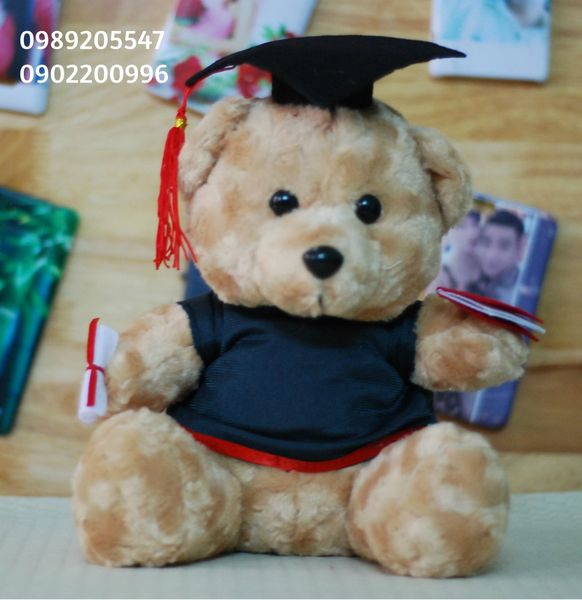 Gấu bông tốt nghiệp Đại học Khoa Học Tự Nhiên