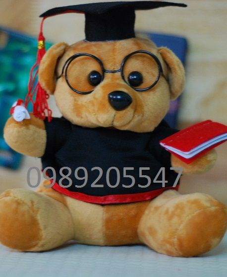Gấu bông tốt nghiệp Đại học Bách Khoa