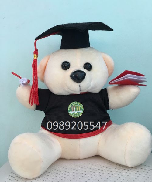 Gấu bông tốt nghiệp đại học nông lâm