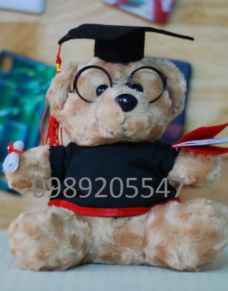 Gấu bông tốt nghiệp đại học nông lâm