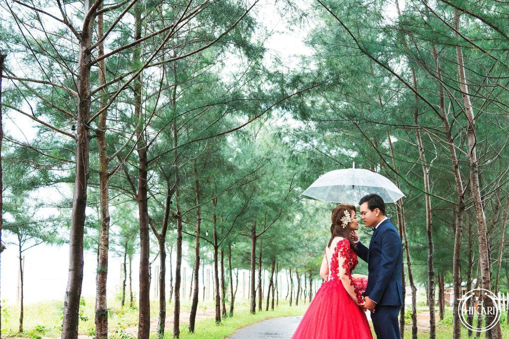 Chụp ảnh cưới tại rừng tràm Hồ Cốc
