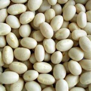 Enzym giảm cân đậu trắng Nhật