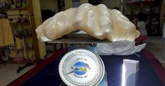 Ngư dân Philippines cất giữ viên ngọc trai trị giá hơn 2.200 tỷ đồng mà không hề hay biết
