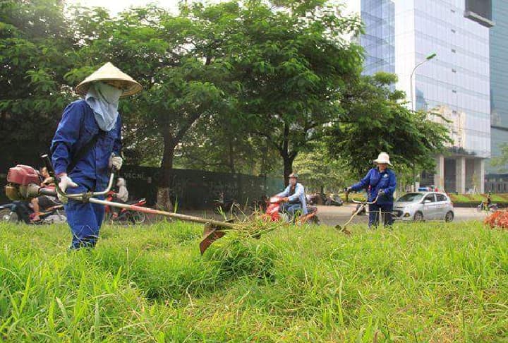 Nguyên lý hoạt động của máy cắt cỏ