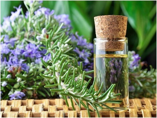 Tinh dầu lavender giúp thư giãn tinh thần, giải toả căng thẳng