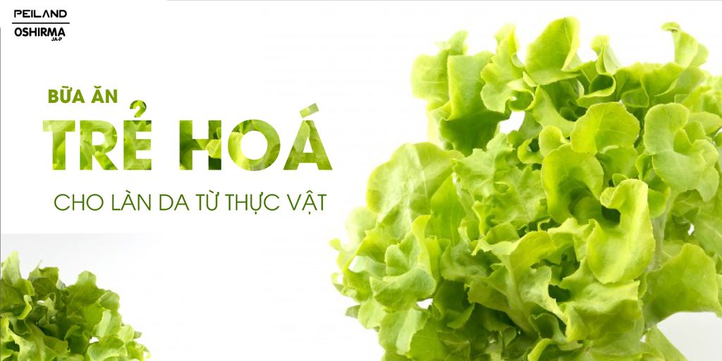 BỮA ĂN TRẺ HOÁ CHO LÀN DA TỪ THỰC VẬT