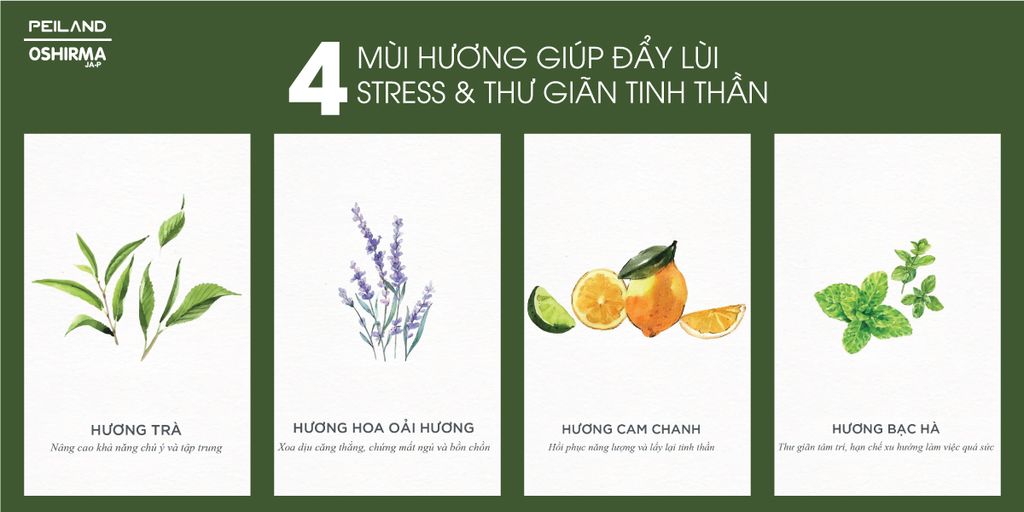 GỌI TÊN 4 MÙI HƯƠNG GIÚP ĐẨY LÙI STRESS & THƯ GIÃN TINH THẦN