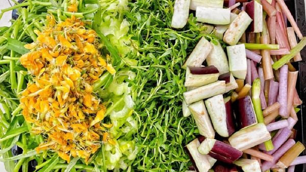 Rau ăn lẩu mắm miền tây