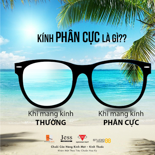 Mắt kính phân cực Polarized là gì? Công dụng và cách nhận biết là gì?