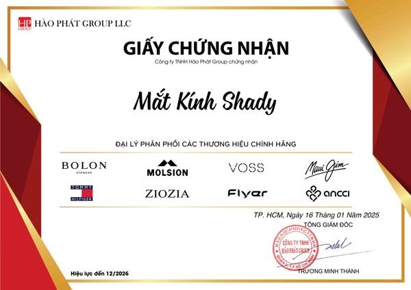 ANCCI Eyewear - Glasses - AC42511