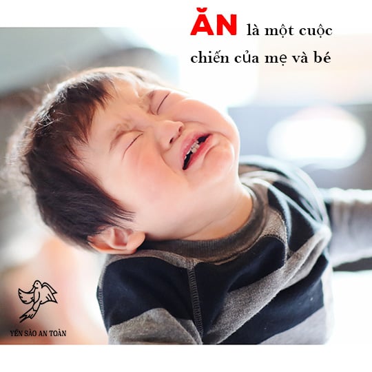 Nỗi lòng của những bà mẹ khi con biếng ăn