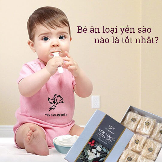Yến Sào cho bé loại nào tốt?