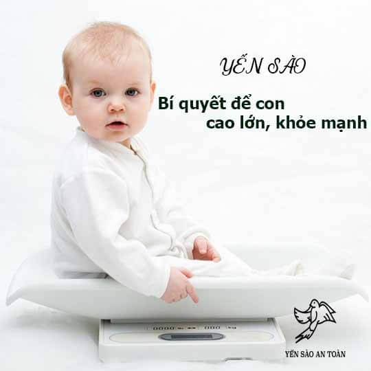 Yến Sào: Giải pháp khi con ăn khỏe nhưng hấp thu kém