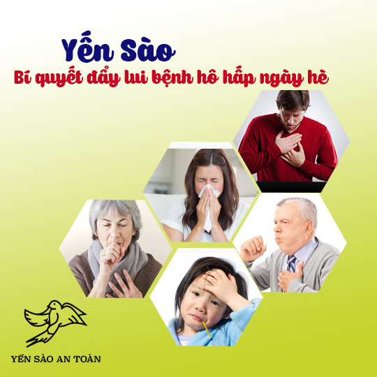 Yến Sào - Tuyệt chiêu đẩy lui bệnh hô hấp ngày hè