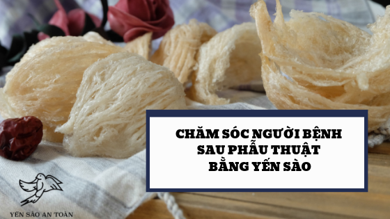 YẾN SÀO BỔ SUNG PROTEIN CHO NGƯỜI BỆNH PHẪU THUẬT