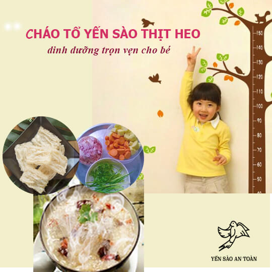 Cách nấu cháo yến sào ngon nhất – Dinh dưỡng trọn vẹn cho bé