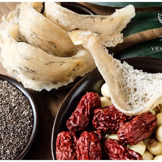 Đang uống thuốc có nên dùng yến sào?