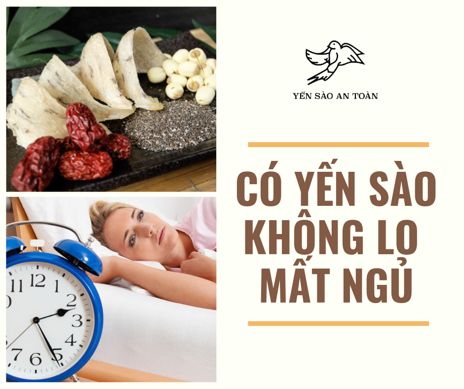 YẾN SÀO - BÍ QUYẾT CHO GIẤC NGỦ NGON