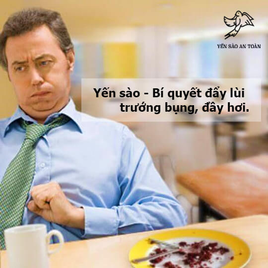 Yến sào – Tuyệt chiêu đẩy lùi trướng bụng, đầy hơi.