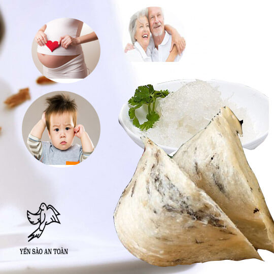Những đối tượng nào nên ăn yến sào là tốt nhất?