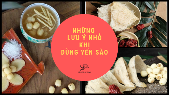 NHỮNG LƯU Ý VỀ YẾN SÀO MÀ BẠN KHÔNG THỂ BỎ QUA