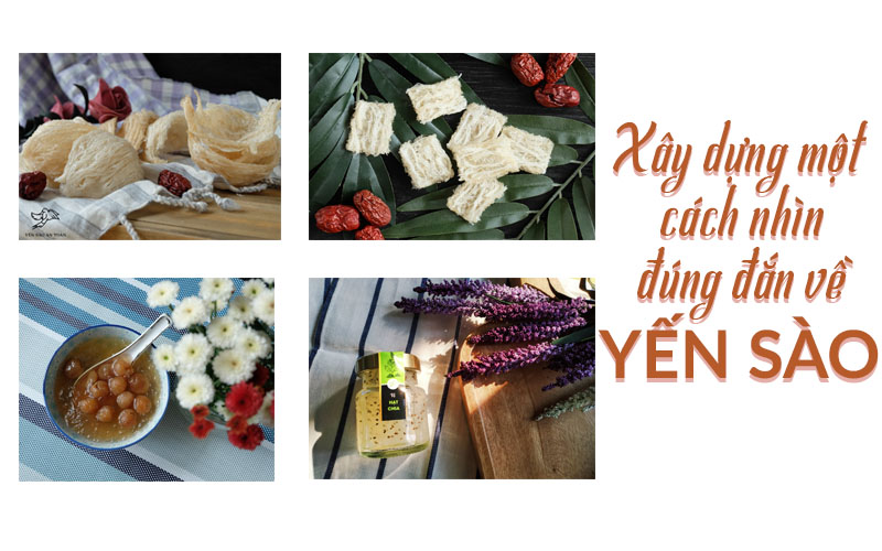 MỘT CÁI NHÌN ĐÚNG ĐẮN VỀ YẾN SÀO