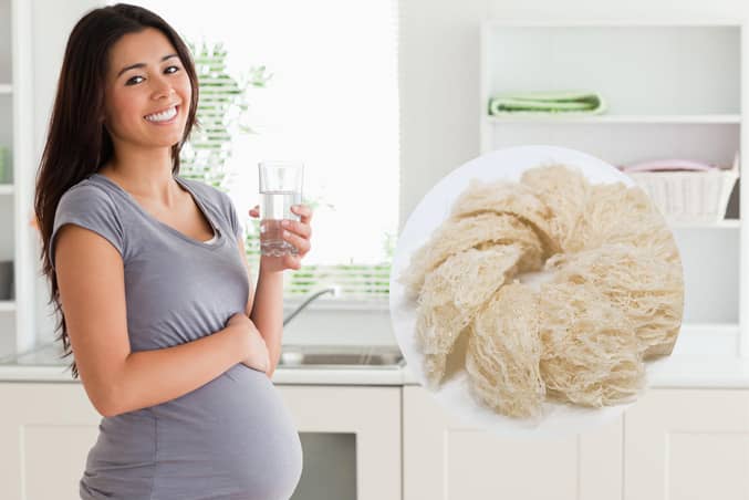 Tác dụng của yến sào đối với phụ nữ mang thai