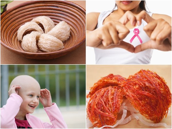 Yến sào có tác dụng hỗ trợ điều trị bệnh nhân ung thư hay không?