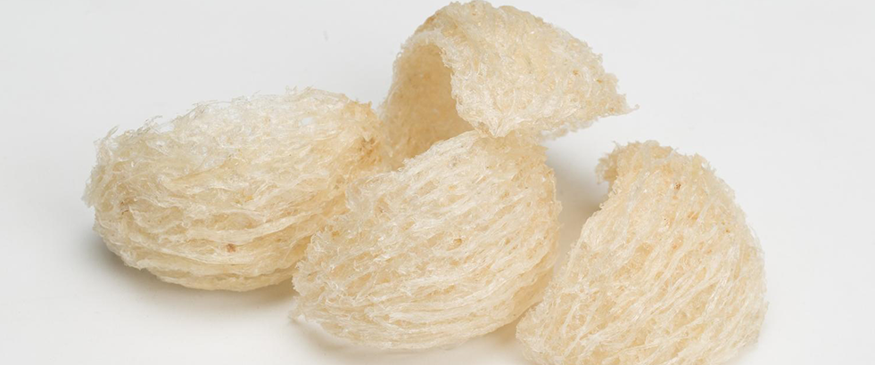 Công dụng của yến sào trong việc hỗ trợ điều trị bệnh xương khớp