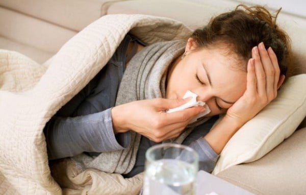 Yến sào giúp tăng cường đề kháng phòng tránh dịch bệnh