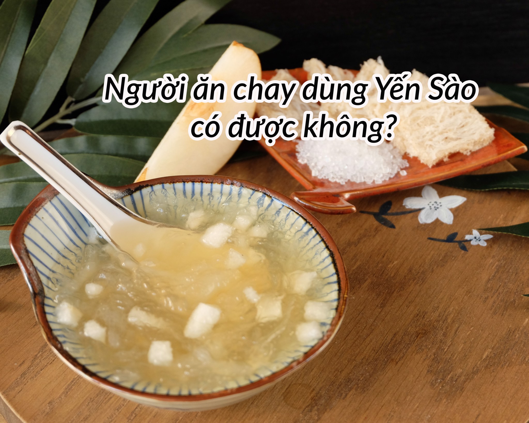 TỔ YẾN VỚI NGƯỜI ĂN CHAY