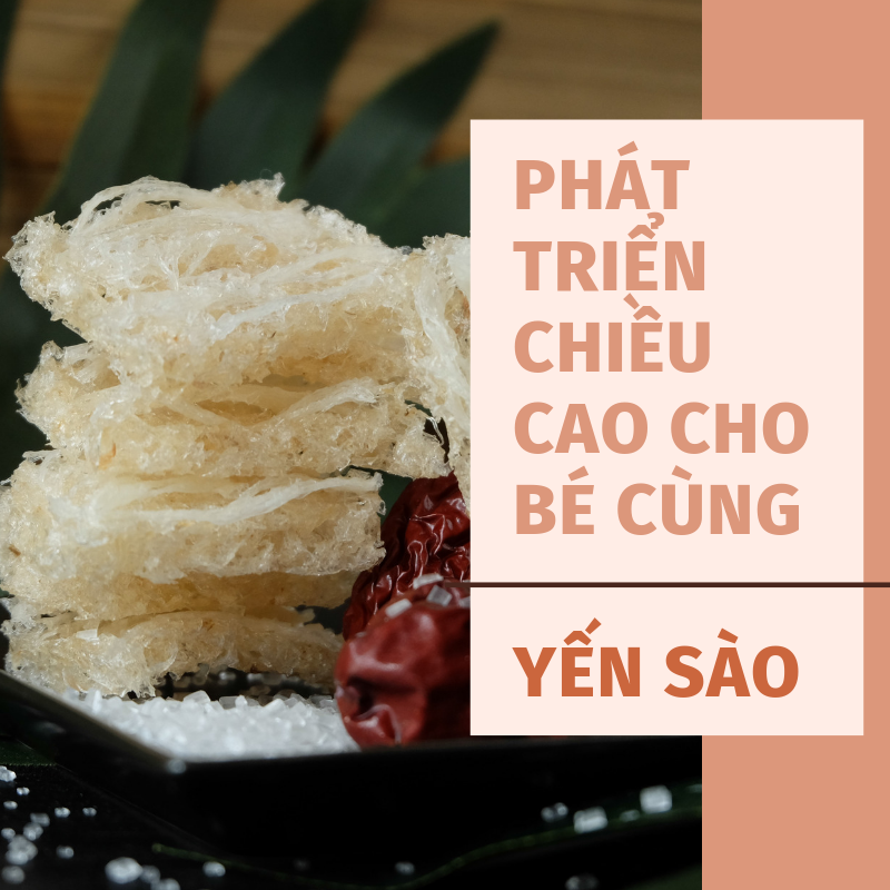 YẾN SÀO VÀ CÔNG DỤNG PHÁT TRIỂN CHIỀU CAO CHO BÉ