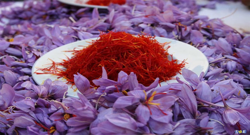 Yến tươi chưng sẵn vị Saffron - Sự kết hợp giữa hai thần dược
