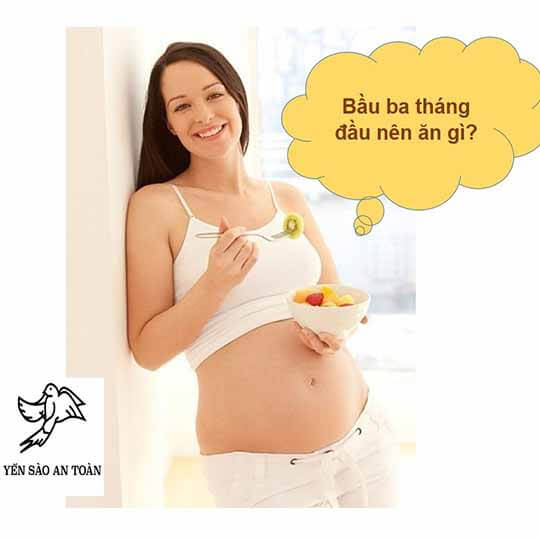 Bầu ba tháng đầu có nên ăn yến sào không?