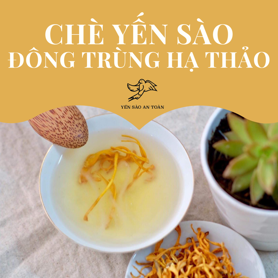 CÔNG THỨC CHẾ BIẾN CHÈ YẾN SÀO ĐÔNG TRÙNG HẠ THẢO DỄ LÀM NHẤT