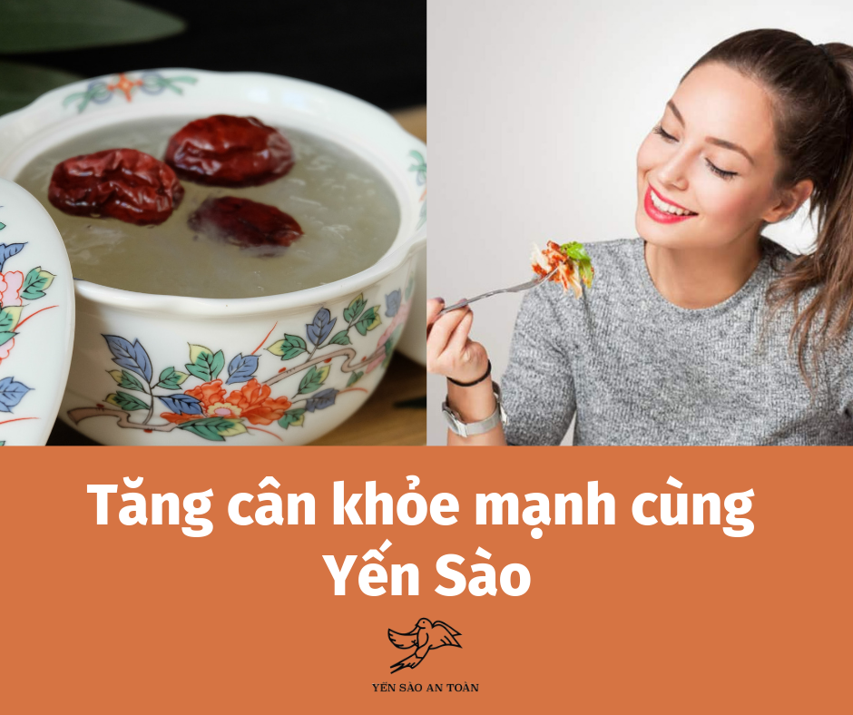 TĂNG CÂN AN TOÀN VÀ KHỎE MẠNH CÙNG YẾN SÀO
